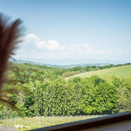 Steirerblicke - Am Winzerkogel Apartman Leibnitz Kültér fotó
