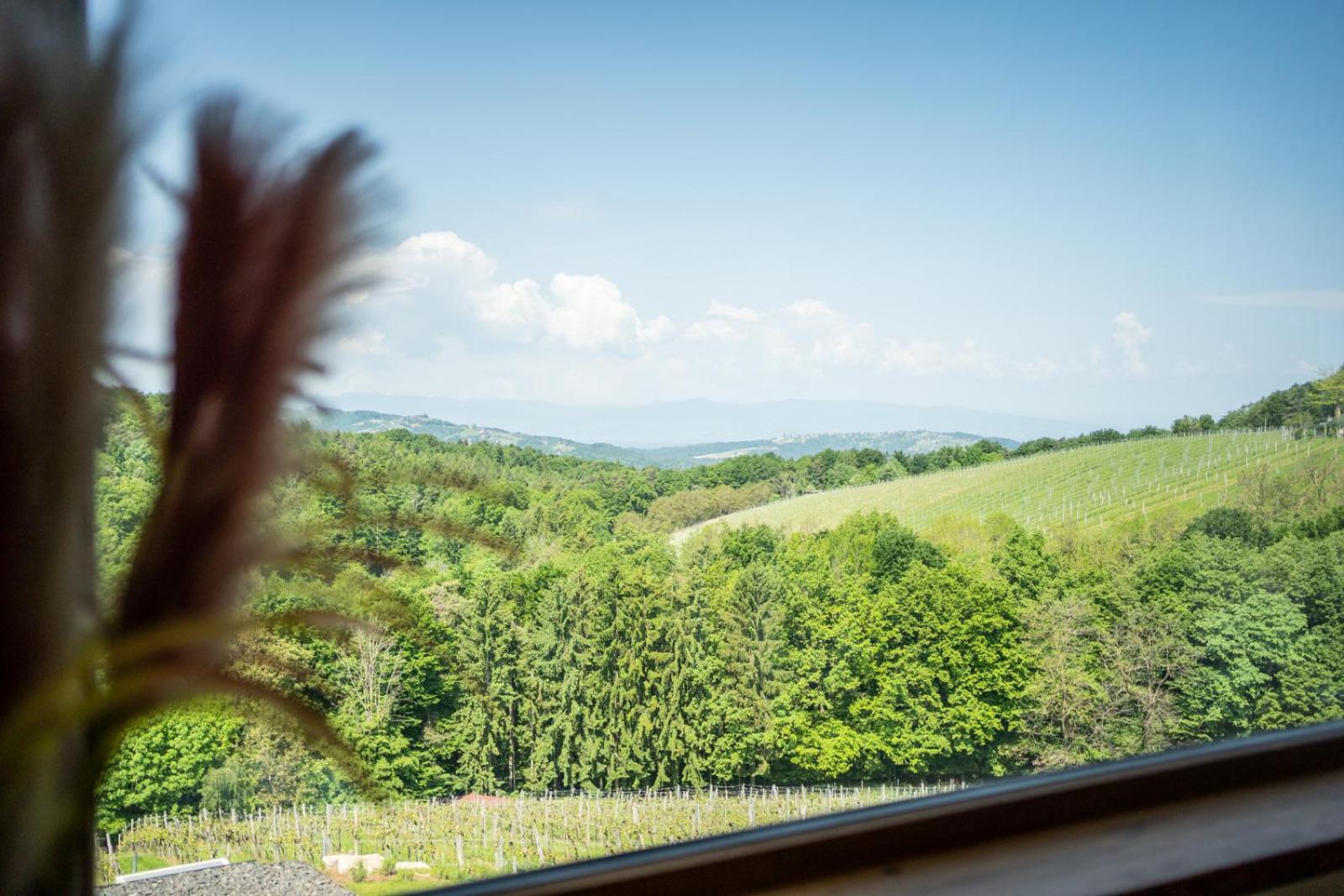 Steirerblicke - Am Winzerkogel Apartman Leibnitz Kültér fotó